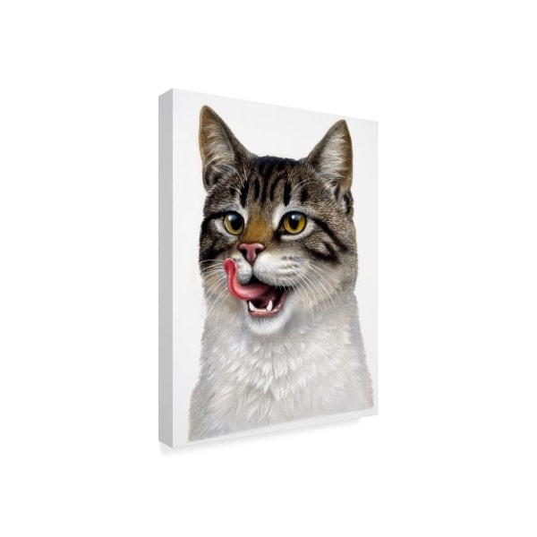 Harro Maass 'Cat Tongue' Canvas Art,18x24